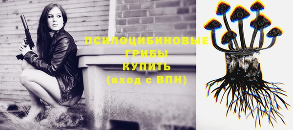 наркотики Алексин