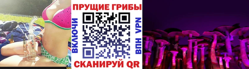 Галлюциногенные грибы MAGIC MUSHROOMS Сычёвка