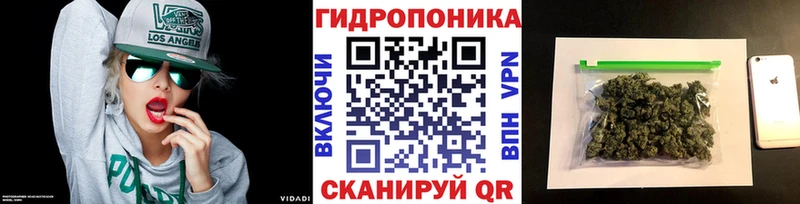 где можно купить наркотик  OMG ONION  Бошки марихуана OG Kush  Сычёвка 
